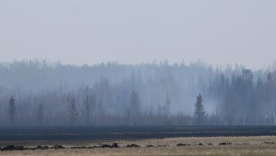 Photo of حرائق غابات مقاطعة ألبرتا تخفض إنتاج الغاز الكندي بنحو 1.7 مليار قدم مكعبة يوميًا (تقرير)