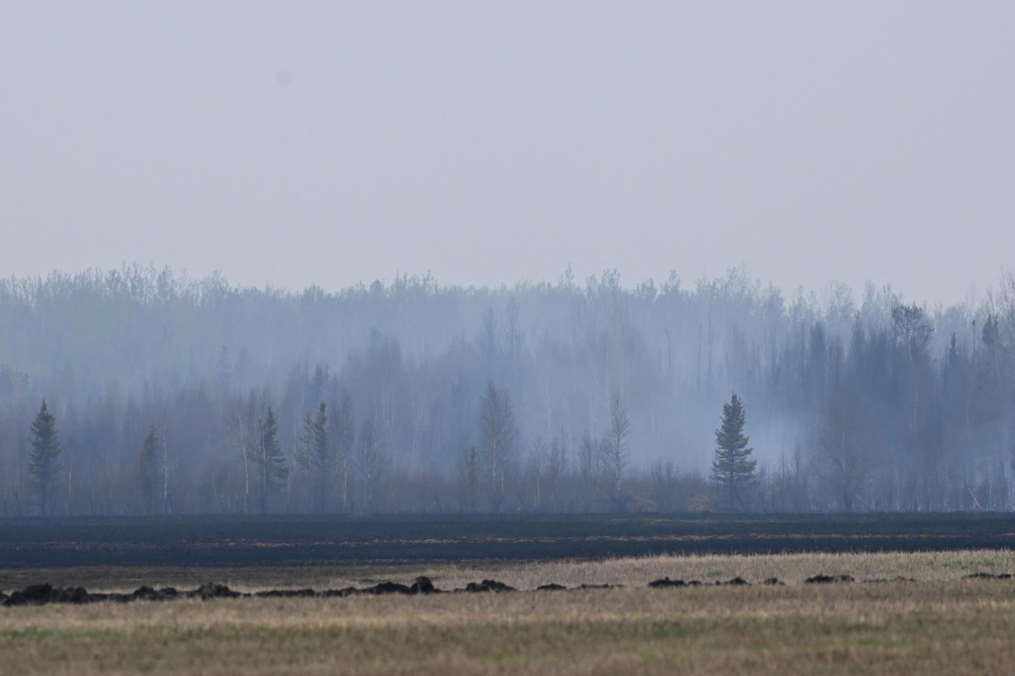 جانب من حرائق غابات مقاطعة ألبرتا التي أدت إلى خفض إنتاج الغاز الكندي