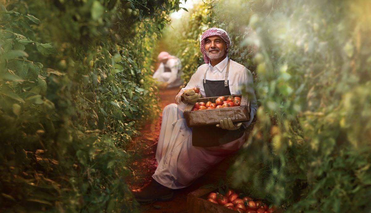 شركة سابك للمغذيات الزراعية
