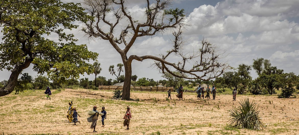 أراضي زراعية في أفريقيا