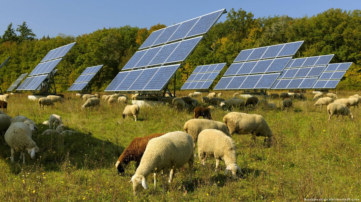 نمو الطلب على أنظمة الطاقة الشمسية في ألمانيا