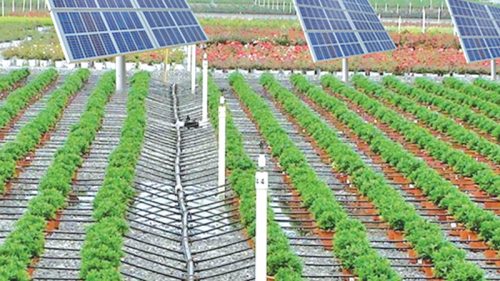 محطة طاقة شمسية في أرض زراعية بالمجر