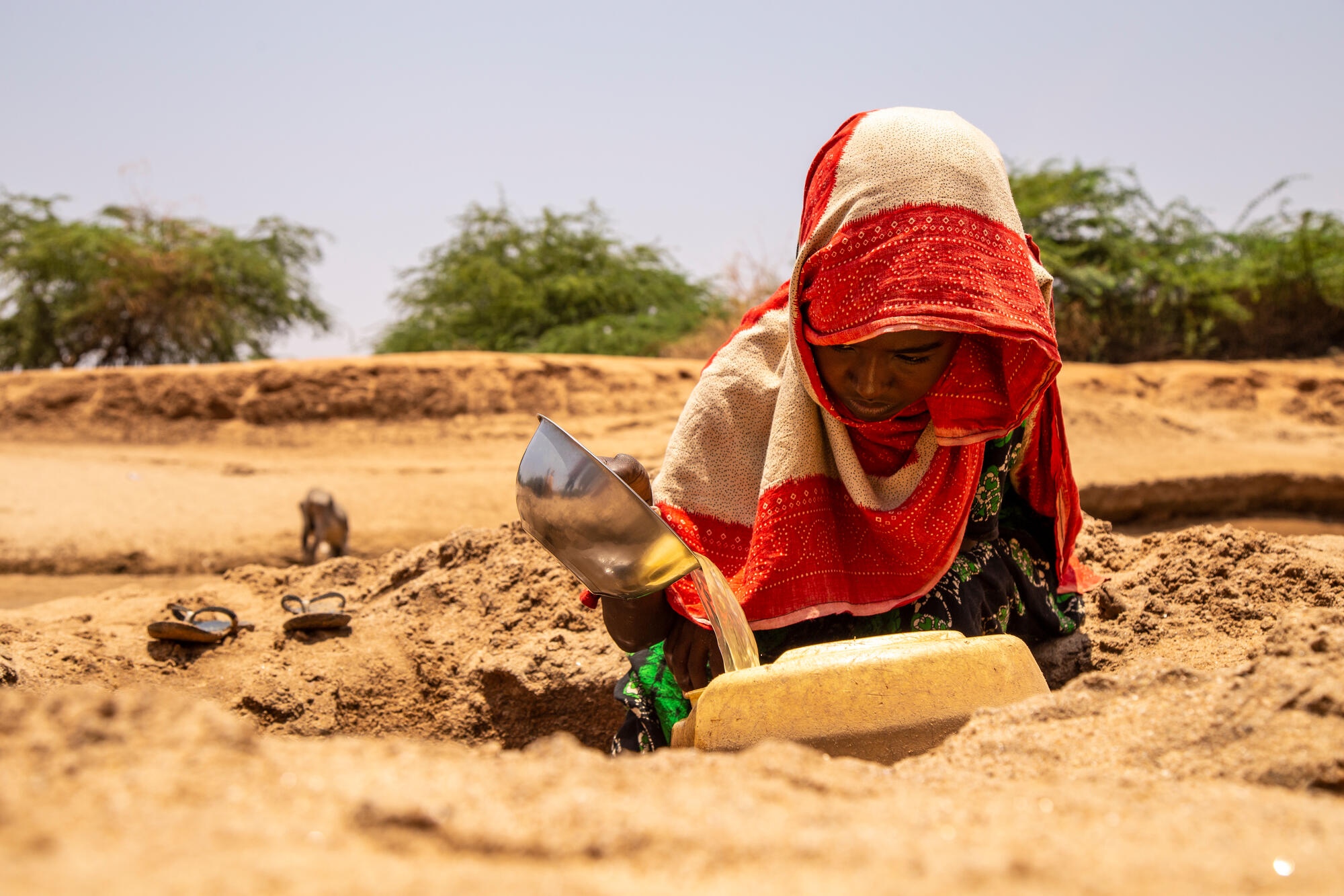 الجفاف في الصومال- الصورة من موقع wvi
