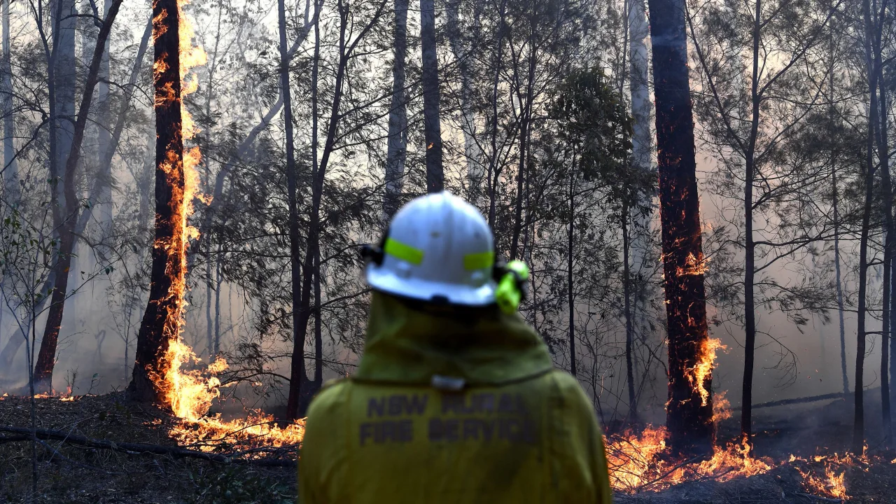 حرائق الغابات في أستراليا- الصورة من وكالة الأنباء الفرنسية
