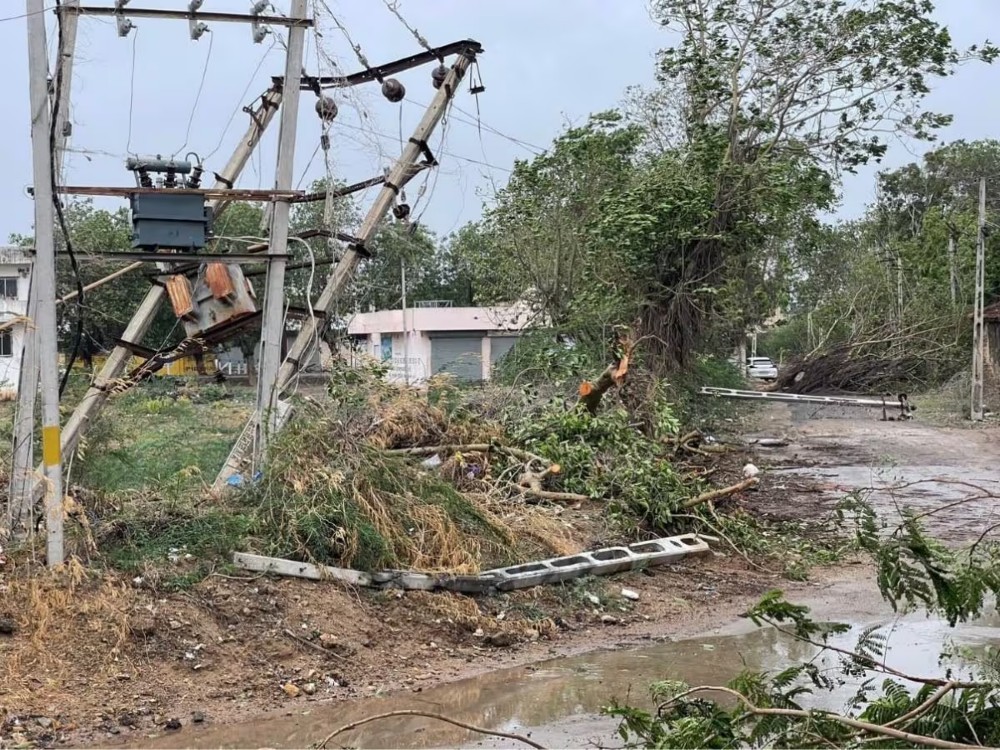 آثار الإعصار على خطوط نقل الكهرباء 