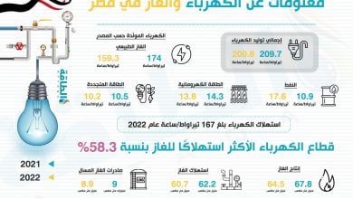 Photo of أرقام عن الغاز والكهرباء في مصر وسط تفاقم انقطاع التيار (إنفوغرافيك)