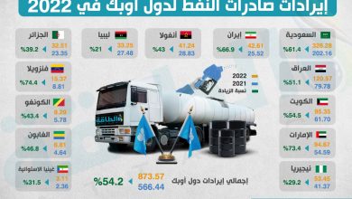 Photo of قفزة كبيرة في إيرادات دول أوبك من تصدير النفط.. السعودية تتصدر (إنفوغرافيك)