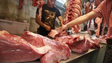 Photo of هل تزيد الصين اعتمادها على اللحوم البديلة لخفض انبعاثات قطاع الغذاء؟ (تقرير)