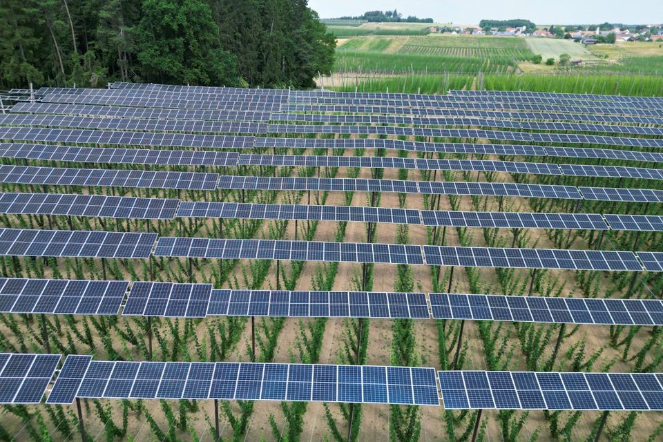 ألواح شمسية تغطي مزرعة في منطقة هوليدو بولاية بافاريا الألمانية