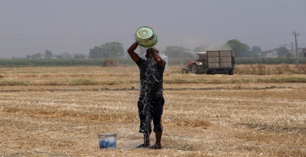 مُزارع يسكب الماء على جسده للتخفيف من تأثير الطقس الحار
