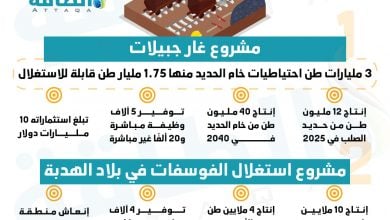 Photo of المعادن والمناجم في الجزائر.. معلومات عن أبرز المشروعات وخطط العمل (إنفوغرافيك)