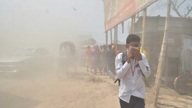 Photo of تلوث الهواء يقصّر متوسط عمر الإنسان 5 سنوات.. و8 دول تعاني أكثر (دراسة)
