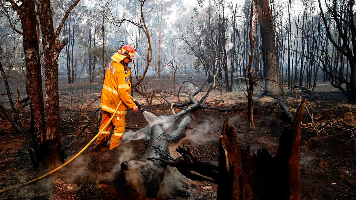 جانب من حرائق الغابات في أستراليا