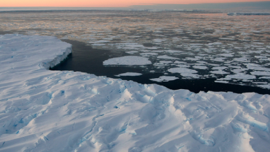 Photo of تغير المناخ يدفع جليد القارة القطبية الجنوبية للتراجع إلى أدنى مستوياته