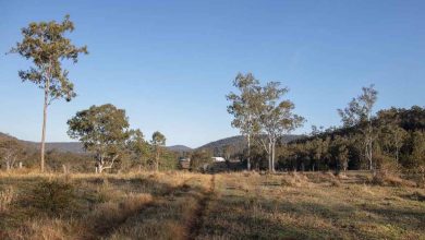 Photo of خفض سعة مزرعة رياح مثيرة للجدل في أستراليا