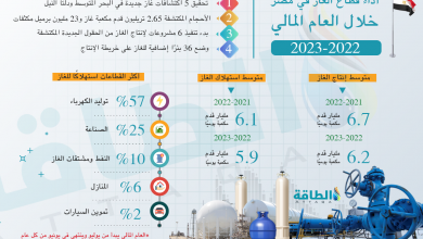 Photo of أداء قطاع الغاز في مصر مع تحقيق اكتشافات جديدة خلال 12 شهرًا (إنفوغرافيك)