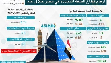 Photo of أبرز أرقام قطاع الطاقة المتجددة في مصر خلال عام (إنفوغرافيك)
