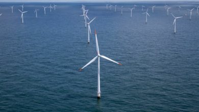 Photo of كيف تسرق مزارع الرياح البحرية الكهرباء من بعضها؟ نتائج صادمة لدراسة عالمية