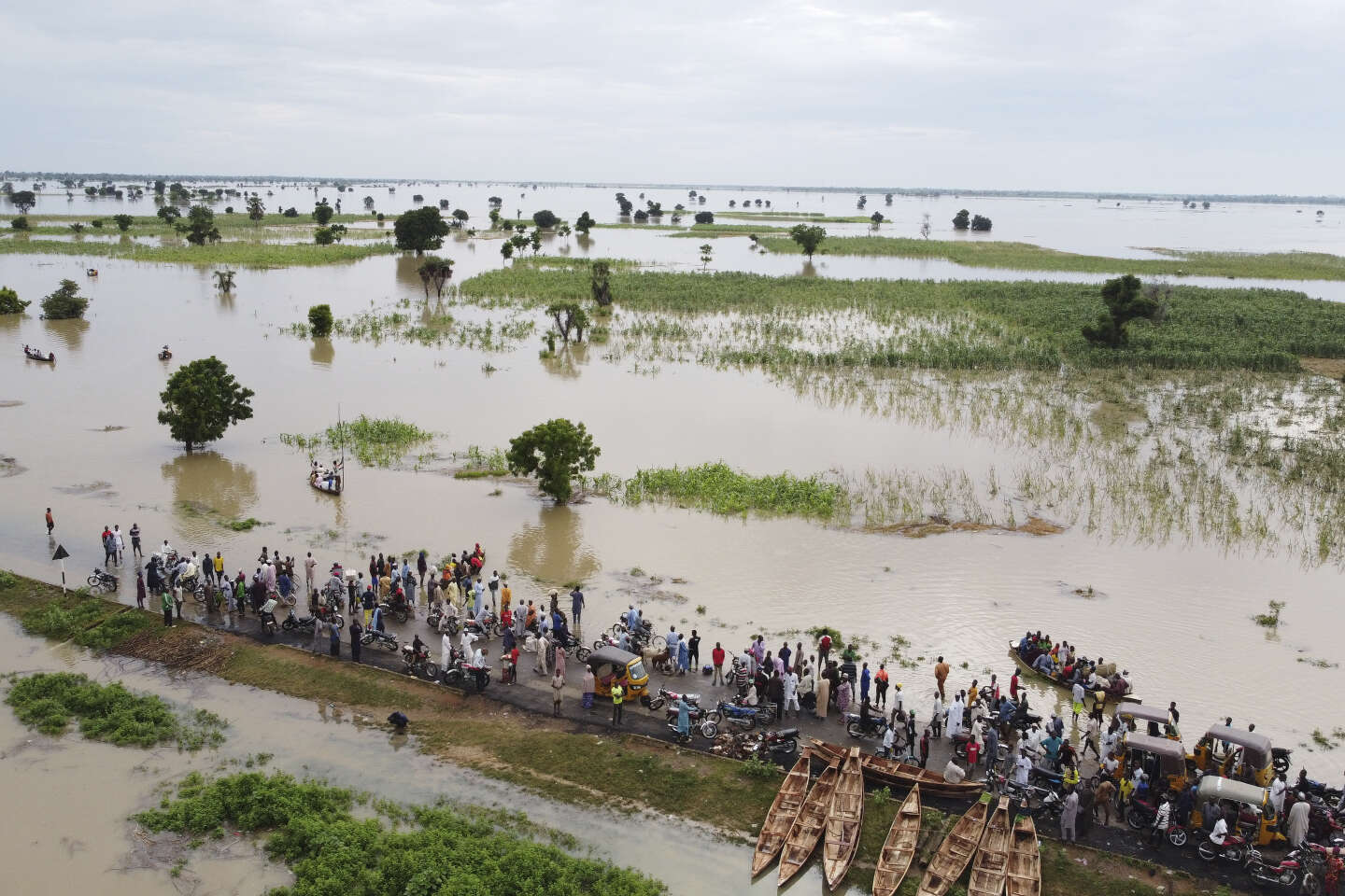 مياه الفيضانات تغمر الأراضي الزراعية بمدينة هاديجا في نيجيريا 