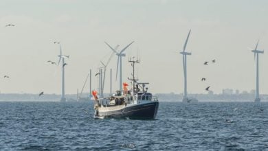 Photo of طاقة الرياح البحرية تهدد بفقدان أكثر من نصف مناطق الصيد في إسكتلندا