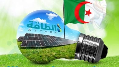 Photo of مشروع سولار 1000 للطاقة الشمسية في الجزائر.. أسماء الفائزين