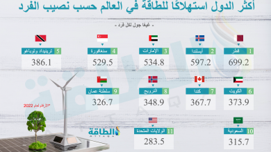 Photo of أكثر الدول استهلاكًا للطاقة حسب نصيب الفرد.. 5 بلدان عربية بالقائمة (إنفوغرافيك)