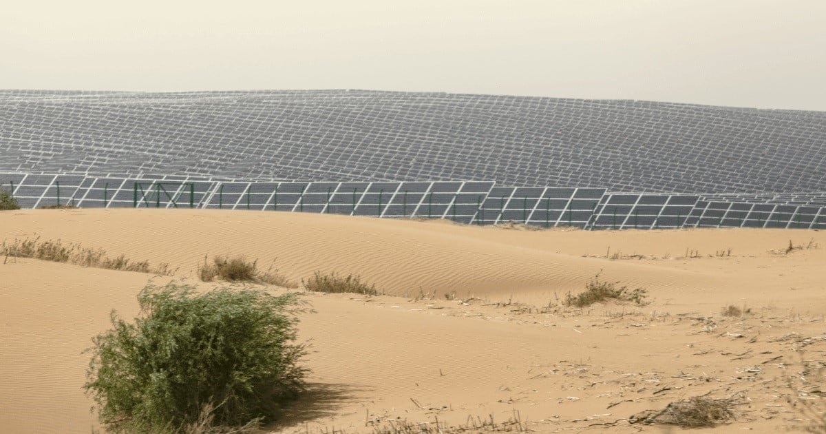 ألواح الطاقة الشمسية تنشر فوق الكثبان الرملية الصفراء في صحراء كوبوكي في الصين
