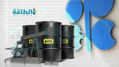 Photo of إنتاج أوبك النفطي في ديسمبر يرتفع 73 ألف برميل يوميًا بقيادة دولتين