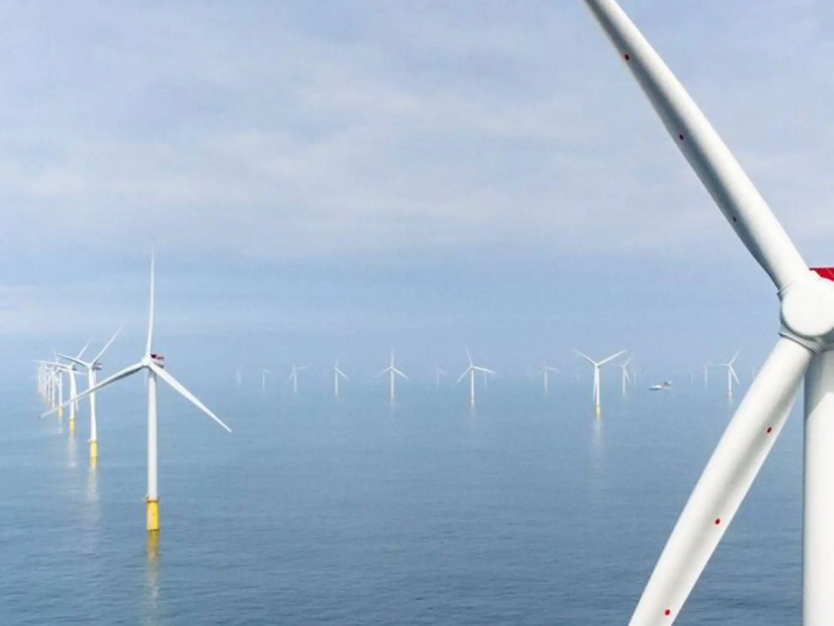 إلغاء عقد بيع الكهرباء من مشروع لطاقة الرياح البحرية في أميركا