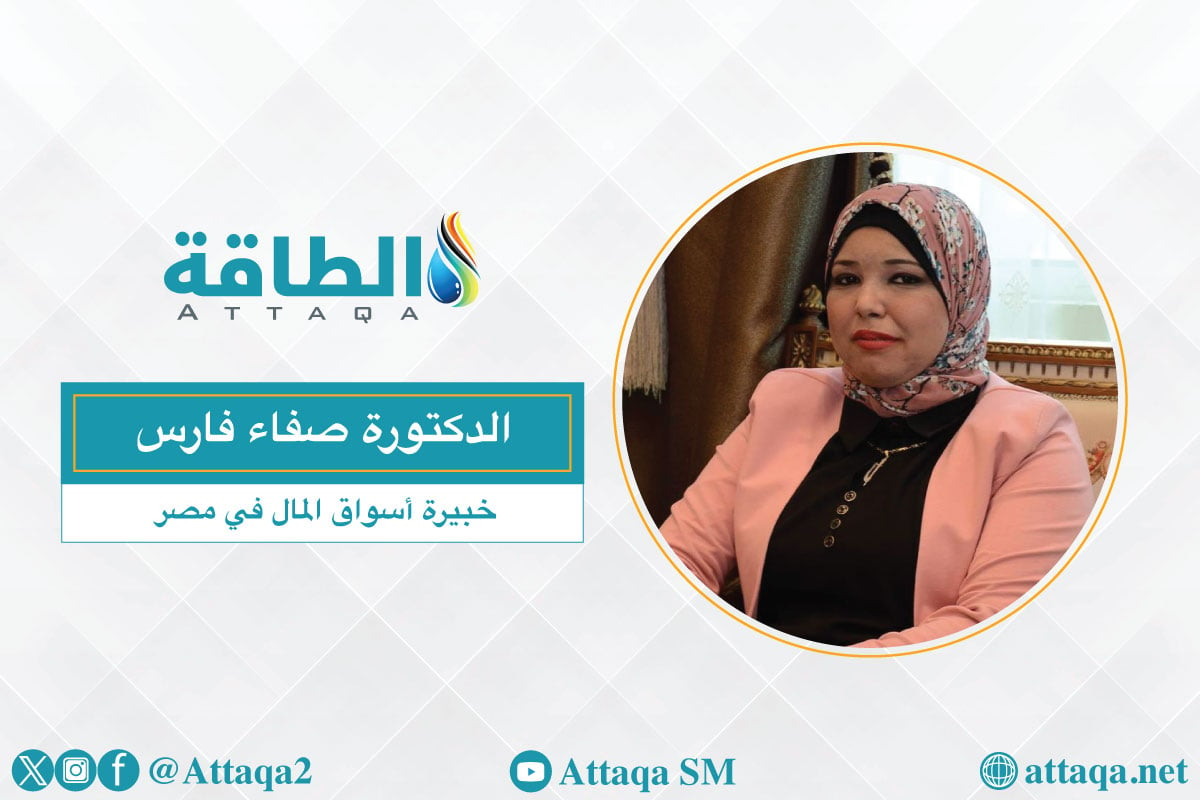 خبيرة أسواق المال في مصر الدكتورة صفاء فارس