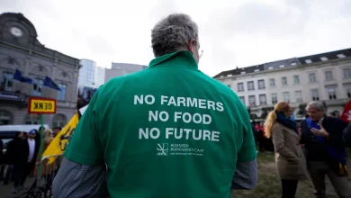 Photo of مزارعو أوروبا يكسرون قيود الصفقة الخضراء.. مؤقتًا وجزئيًا