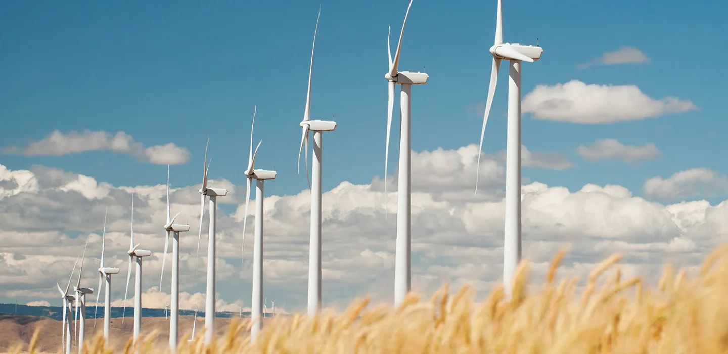 مشروعات طاقة الرياح بين متلقي استثمارات الحياد الكربوني