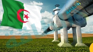 Photo of خطوط أنابيب النفط والغاز في الجزائر تنقل نصف مليار برميل سنويًا