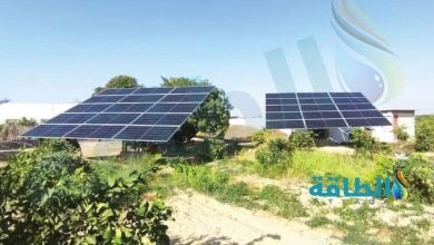 Photo of نقص الكهرباء يهدد الزراعة في واحة المُغرة المصرية.. والطاقة الشمسية غير كافية (تحقيق)