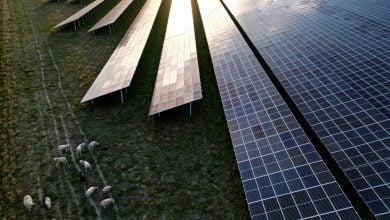 Photo of مصنعو الطاقة الشمسية في الاتحاد الأوروبي يواجهون أزمة وجودية بسبب الصين (تقرير)