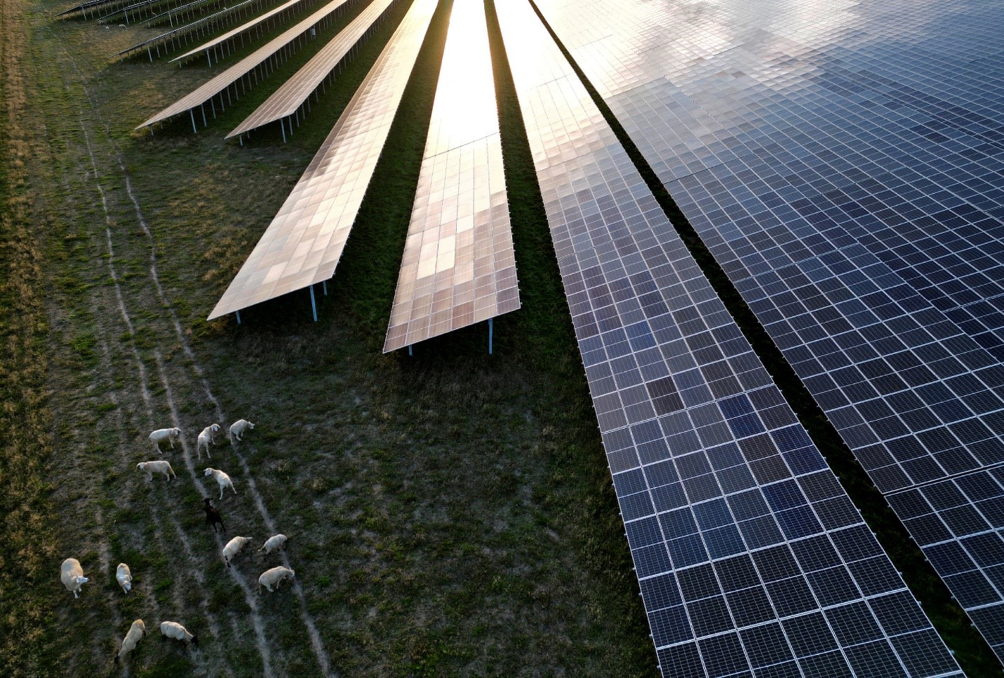 مصنعو الطاقة الشمسية