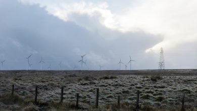 Photo of شركات التشغيل تدفع ملايين الجنيهات لإيقاف مزارع الرياح في بريطانيا (تقرير)