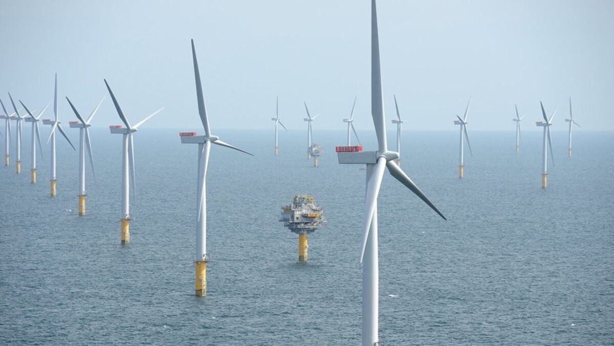 أحد مشروعات طاقة الرياح البحرية - مصدر الصورة (Energy Voice) 