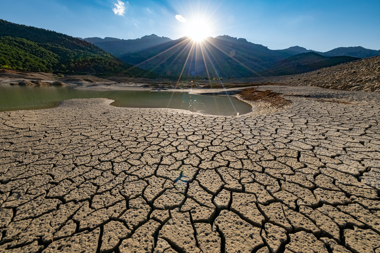 الجفاف يهدد الأنظمة الزراعية وأمن الغذاء