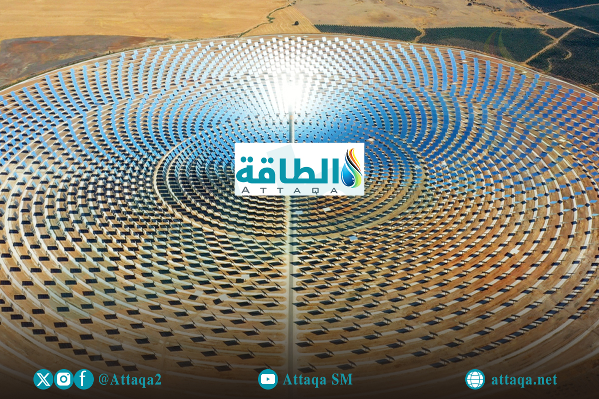 "دوار الشمس" قد يشعل ثورة الكهرباء النظيفة في الدول العربية