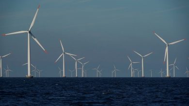 Photo of طاقة الرياح البحرية في اليابان تترقب توسعات جديدة