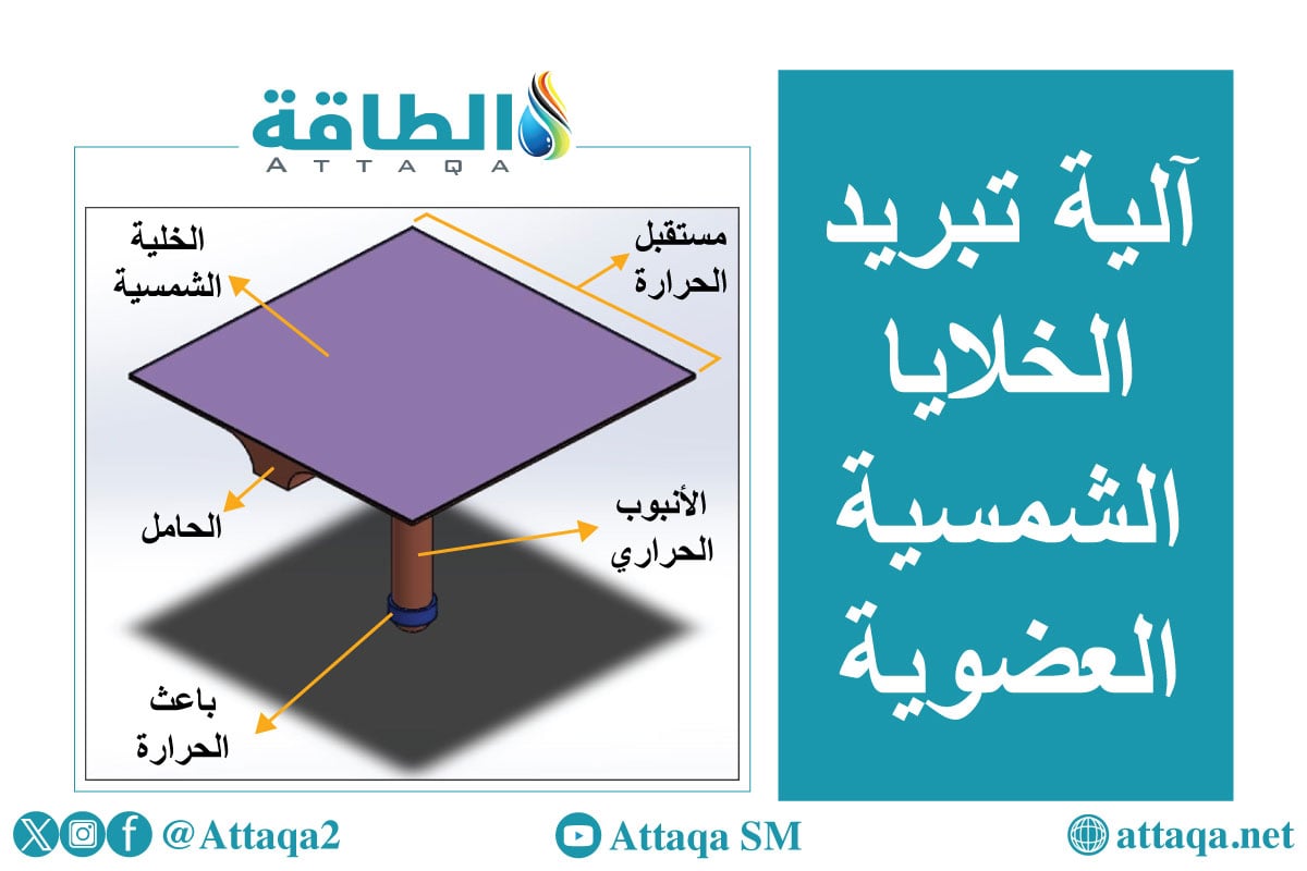 رسم يوضح آلية تبريد الخلايا الشمسية العضوية