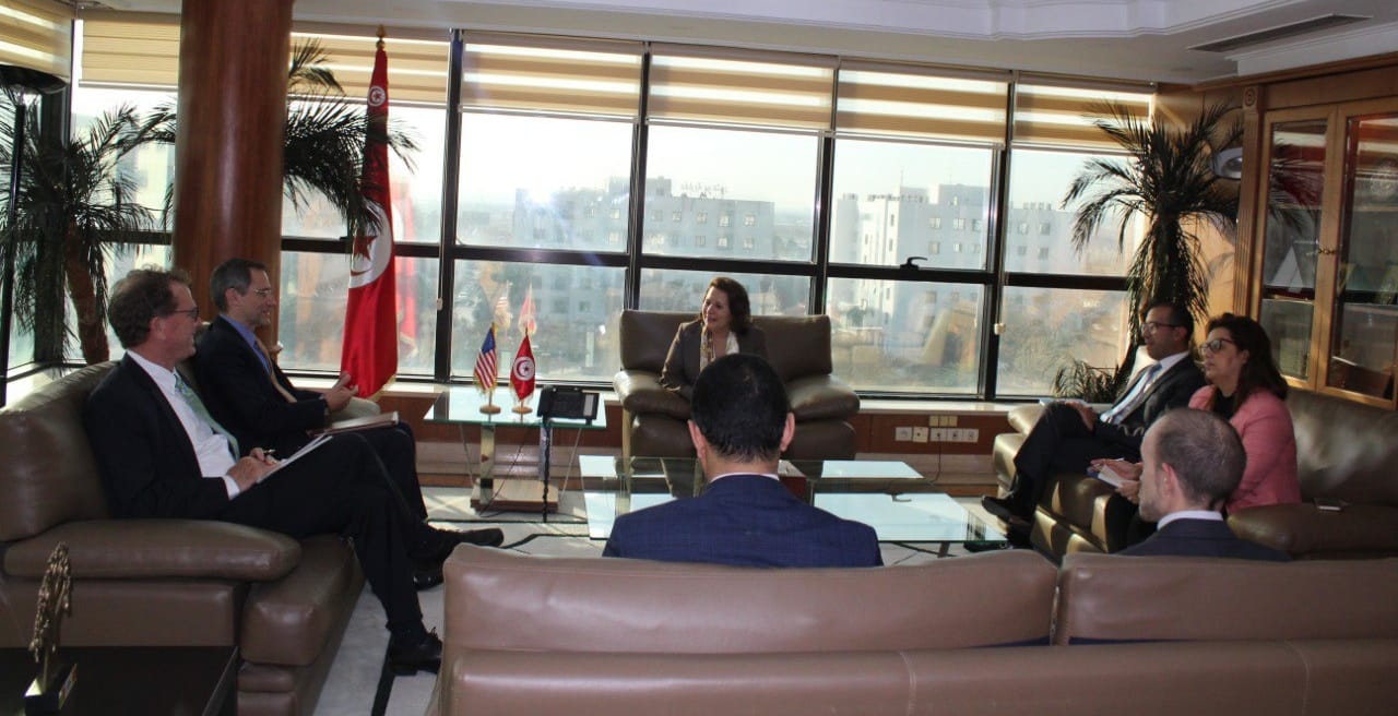 جانب من لقاء السفير الأميركي مع وزيرة الطاقة التونسية