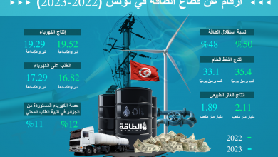 Photo of أبرز مؤشرات قطاع الطاقة في تونس خلال 2023.. ودور مهم للجزائر (إنفوغرافيك)