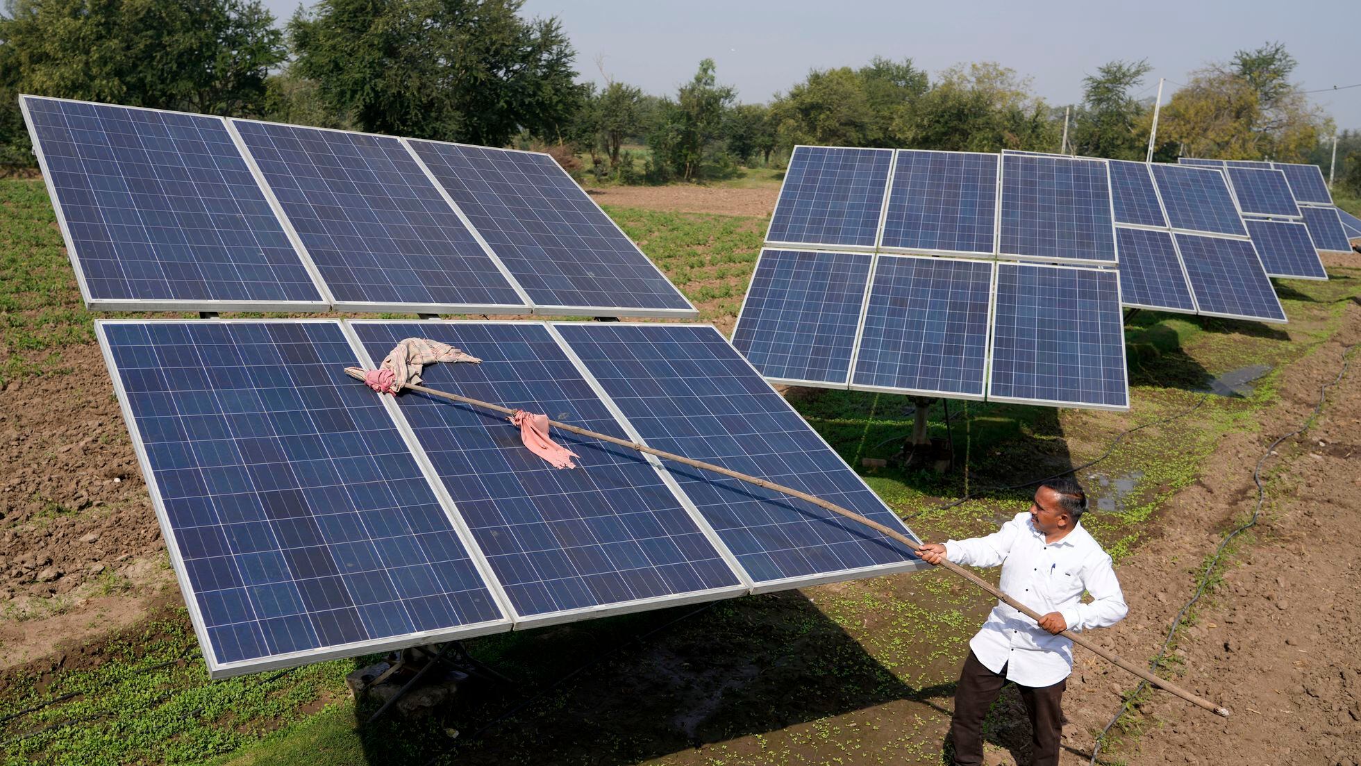 تنظيف ألواح شمسية في الهند 