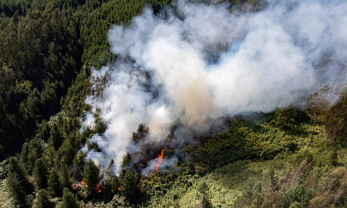 حرائق غابات بسبب ظاهرة النينو