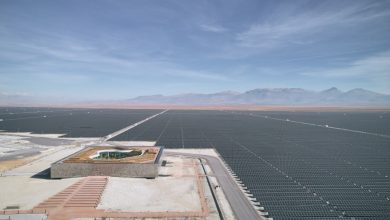 Photo of أكبر محطة طاقة شمسية في أوروبا تتحول إلى واحة وسط الصحراء (صور)