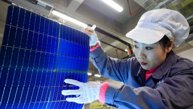 Photo of صناعة الطاقة الشمسية في الصين.. كيف تجاوزت بكين إفلاس الغرب؟ (تقرير)