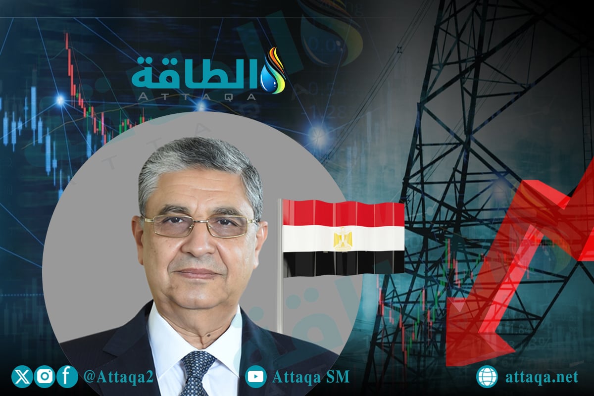 وزير الكهرباء المصري الدكتور محمد شاكر