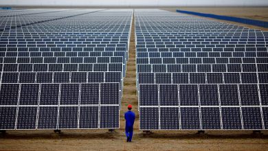 Photo of تخفيف القيود المفروضة على الطاقة المتجددة في الصين.. ما السبب؟